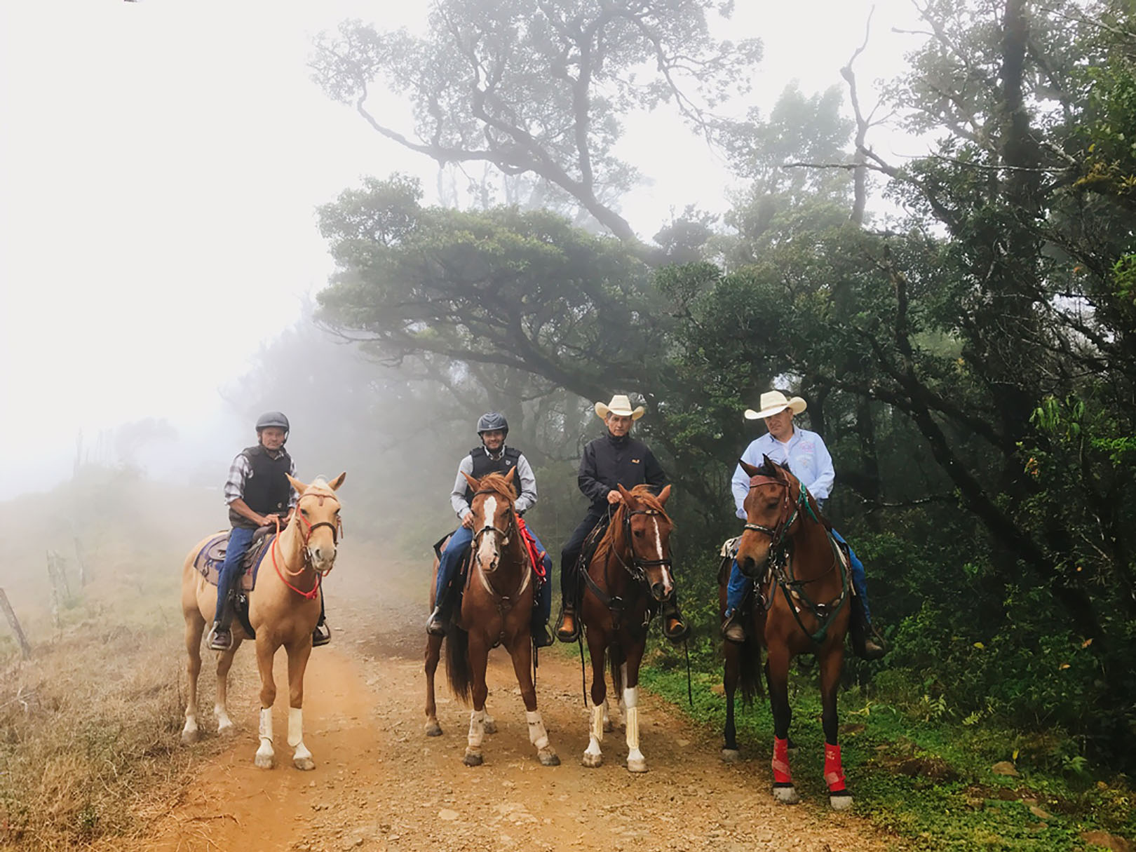 Golden Hills Trail - Costa Rica Horse Riding Holiday