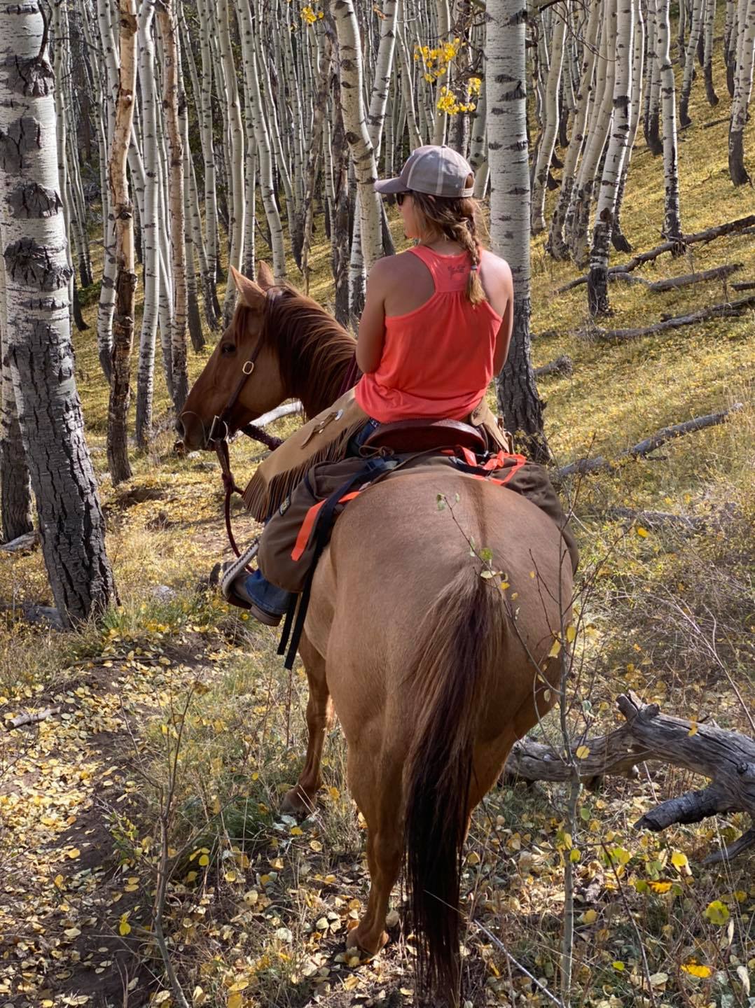 Drowsy Water Ranch - Horse Riding Holiday
