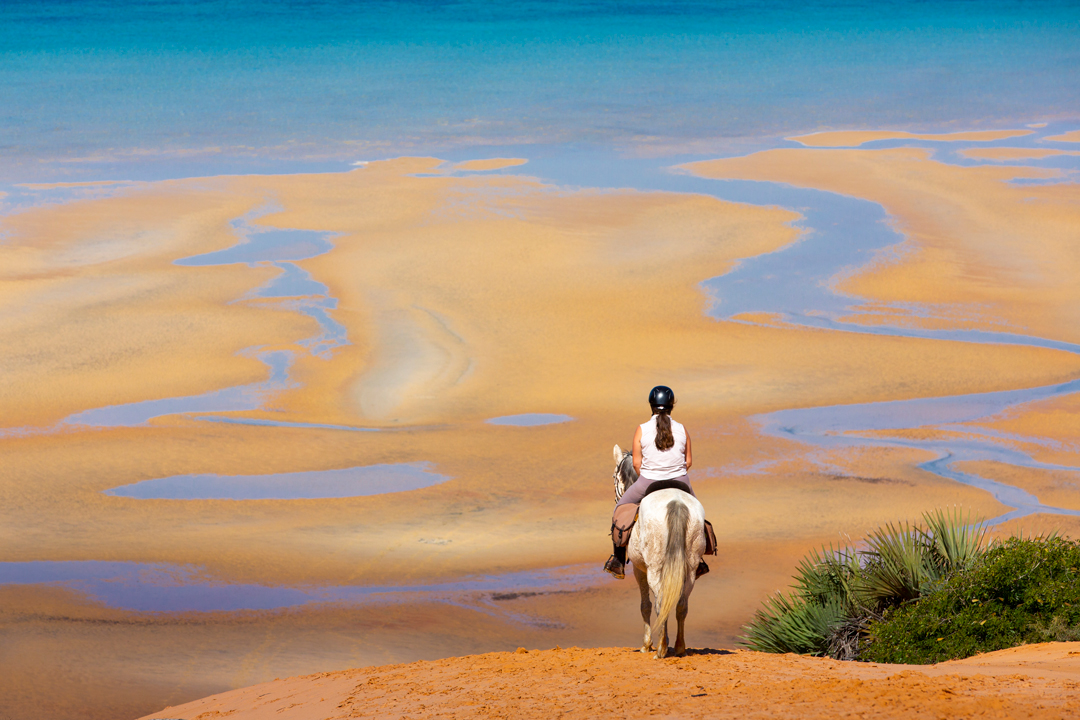 Sejour Equestre Afrique Mozambique