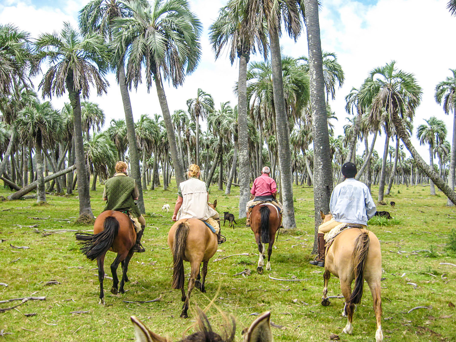Estancia Beach Trail - Horse Riding Holidays Uruguay 2