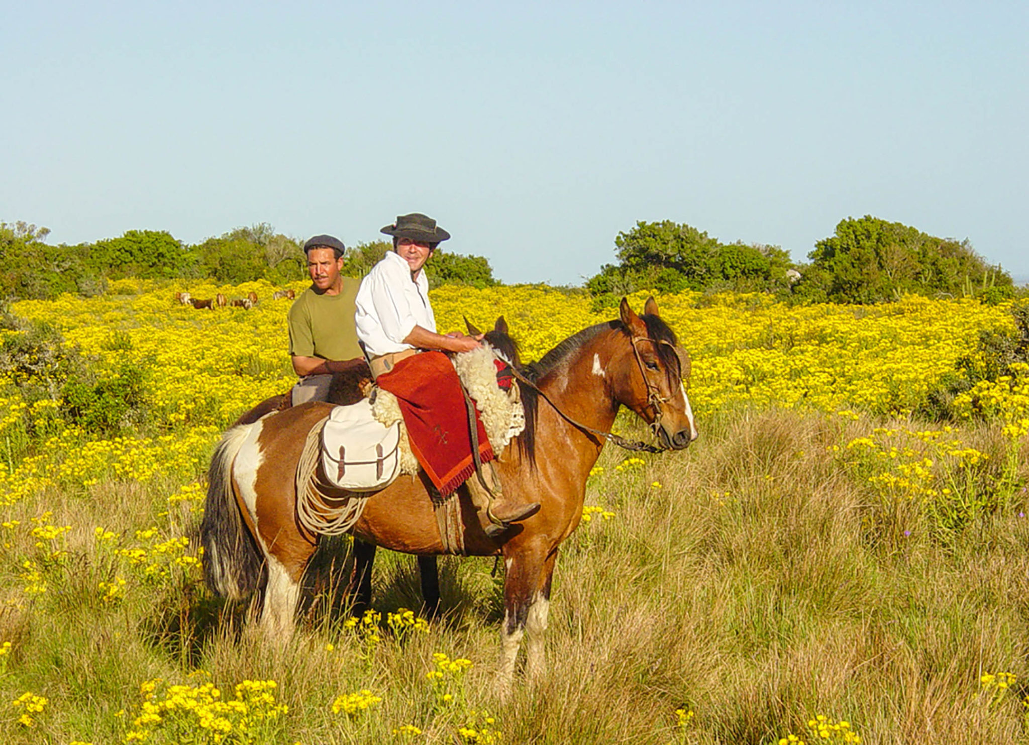 Estancia Beach Trail - Horse Riding Holidays Uruguay 3