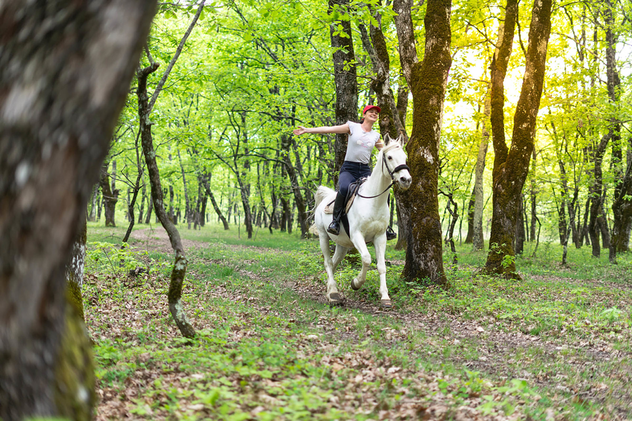 Horse Riding Holidays in Bosnia