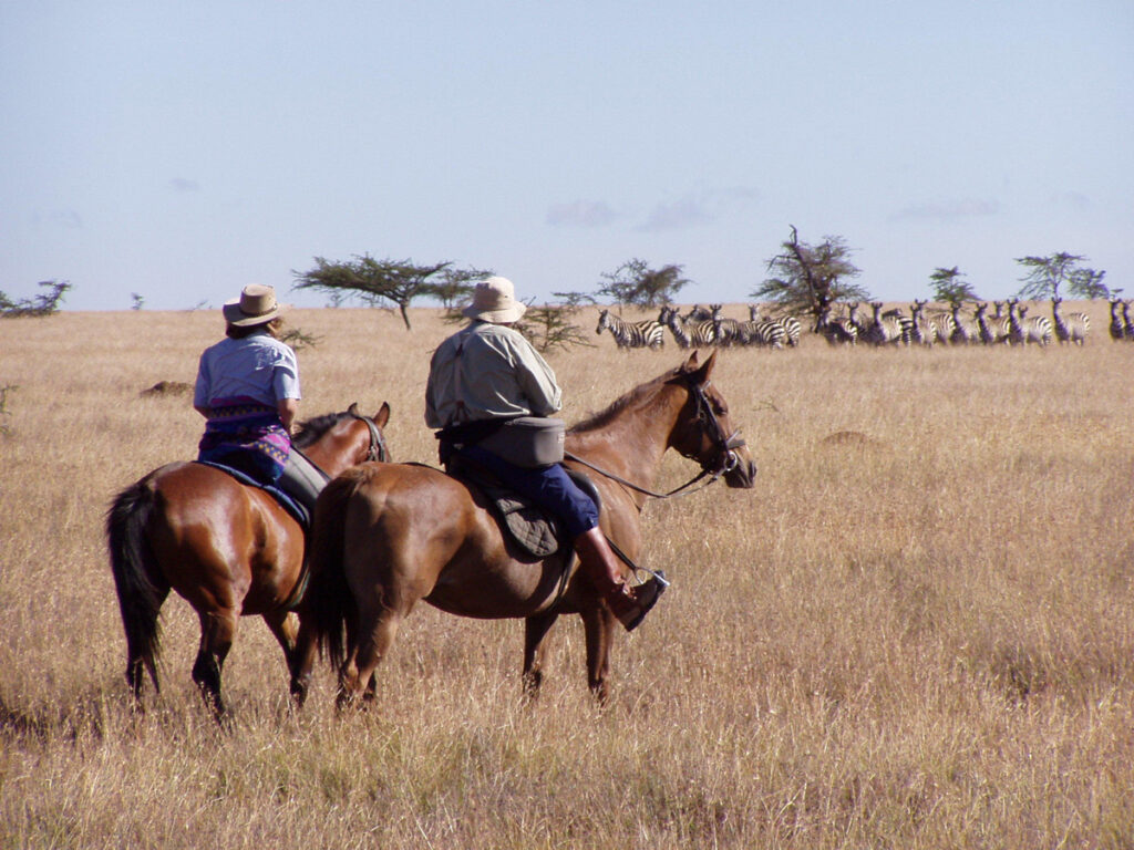 Safari Equestre AFrique